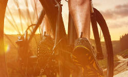 Radtour von Potsdam nach Werder 