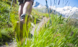 Wandlitz zum  baden und/oder wandern